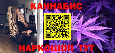 стафф Бердск