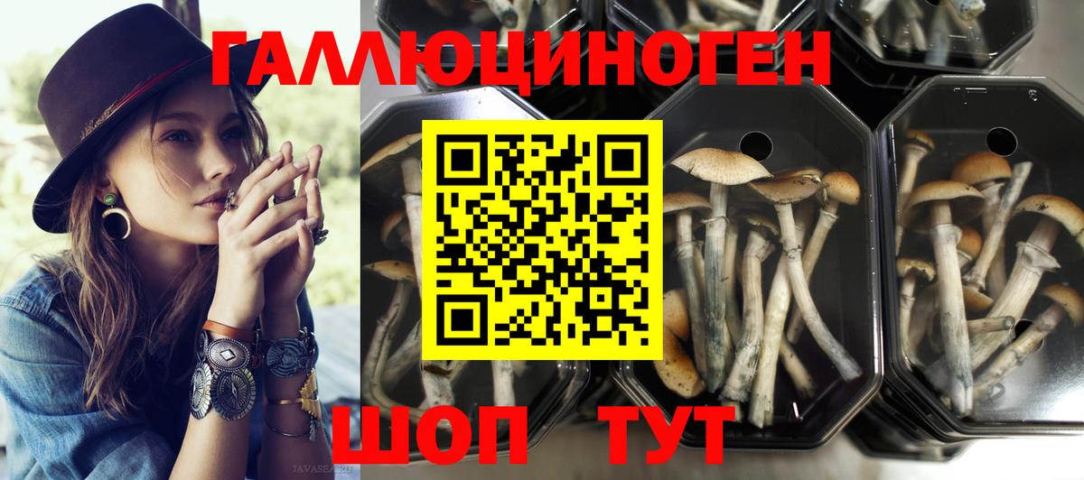 Советская Гавань  купить наркотики сайты  Вход с VPN  Псилоцибиновые грибы MAGIC MUSHROOMS  Галлюциногенные грибы Cubensis 